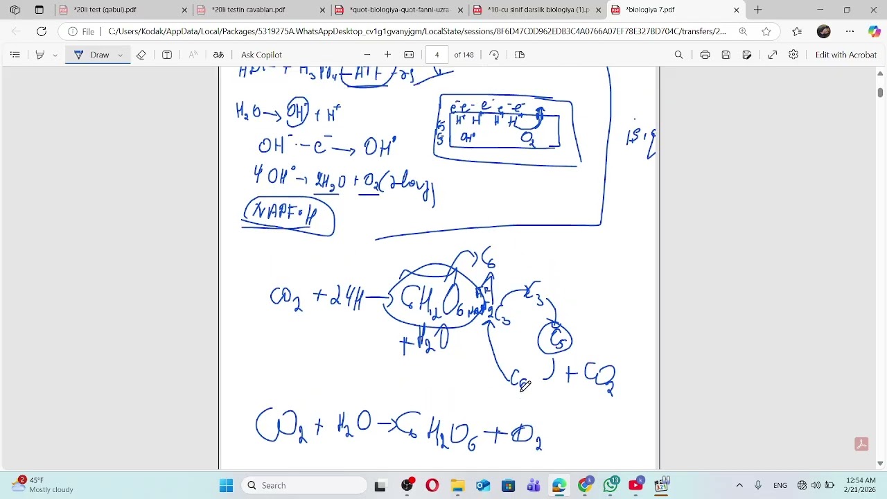 Fotosintez. Ən qısa izah.