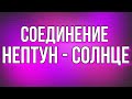 Соединение Солнце - Нептун. Фантазер, ты меня называла