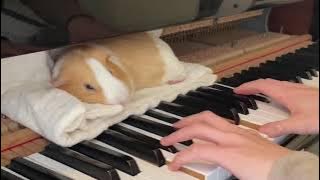 Clair de lune debussy