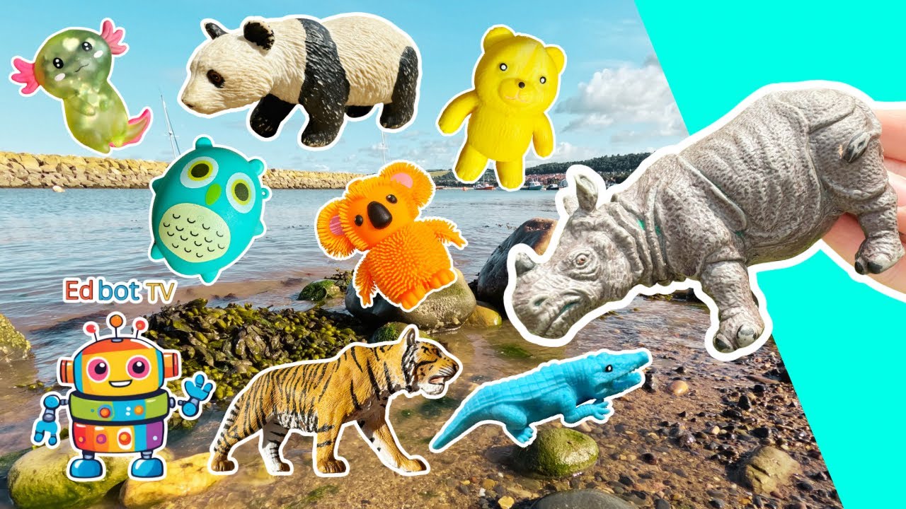 Animal Names & Facts for Kids to Learn at the Harbour: Owl Tiger Axolotl Koala Panda