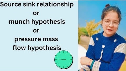 source sink relationship, munch hypothesis, pressure mass flow hypothesis , for bsc students