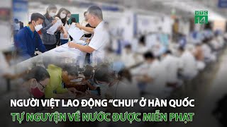 Người Việt lao động “chui” ở Hàn Quốc tự nguyện về nước được miễn phạt | VTC14