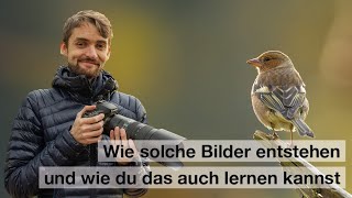 VÖGEL fotografieren | +Workshops Naturfotografie (AUSBLICK 2024)