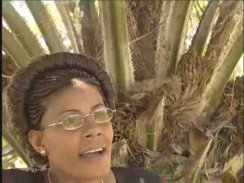 AIC Nyakato Kwaya - Nashukuru Pendo Hili (Official Music Video) (MM7)