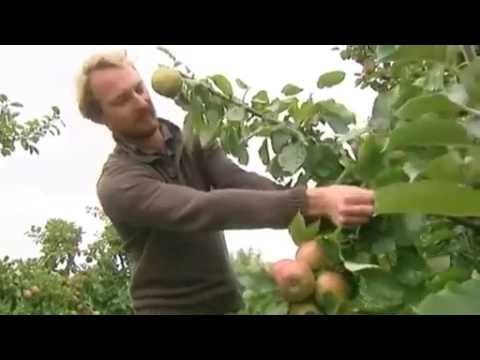 Visite des vergers de la famille Noyon à Suzanne dans la Somme