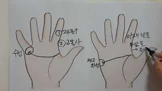 (손금) 제53강 두뇌선으로 보는 재운 #이중두뇌선#고독사#경제흐름을 잘암#이미지로 돈을 범#