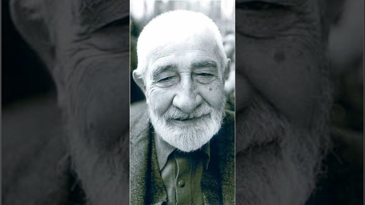 Üsküdarlı Hafız Ali Efendi (Baki Süha ile Sohbet, Yedi Tepeden Yankılar)