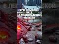 Оригинальные пруды в Ленинградкой области #пруды #бассейн #баня #купели