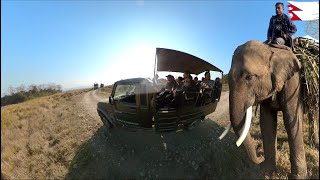 Jeep Safari In Chitwan National Park Nepal | Full Tour Information | Sagar Chhetri