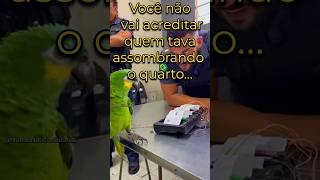 Família chama a polícia por ‘fantasma’… e descobrem isso 😂👻🦜