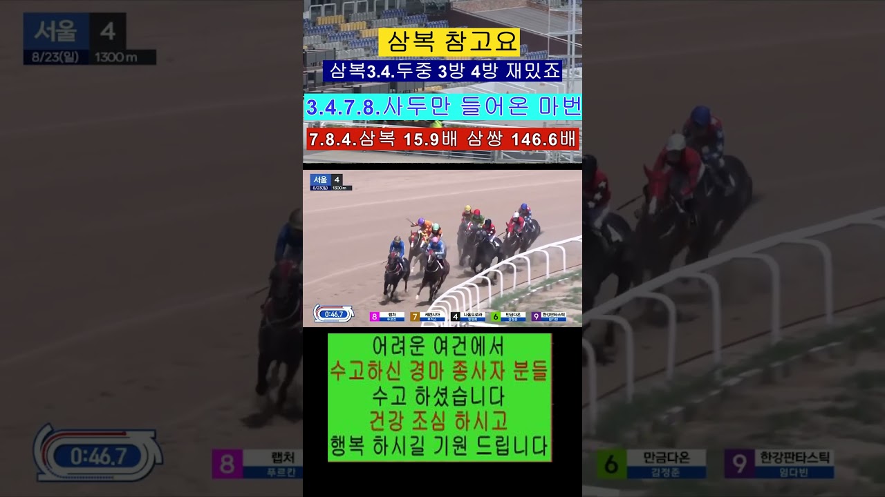 경마:예고 삼복까지 7.8.4.들어오는 영상보기 최선다하 기수들 응원합니다