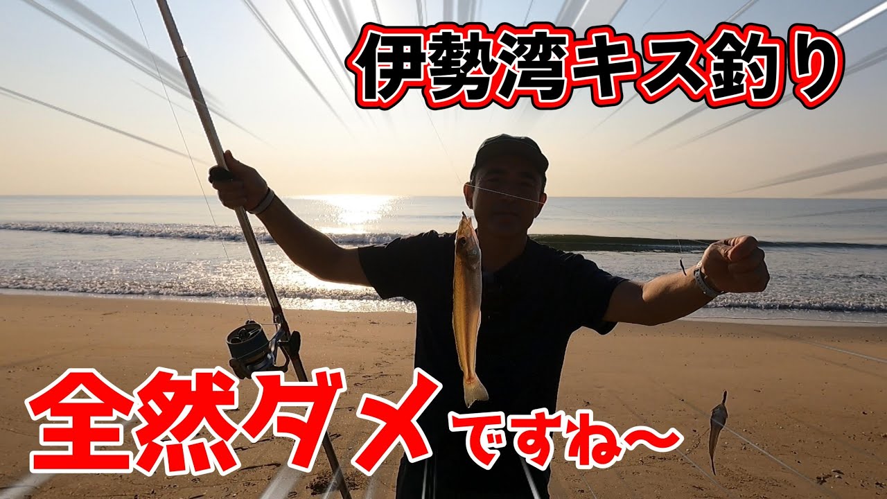 久しぶりにキス釣りに行ってみました(笑)