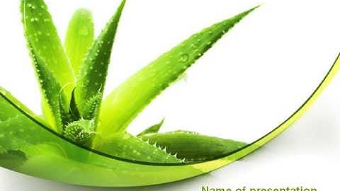 Aloe PowerPoint Template by PoweredTemplate.com