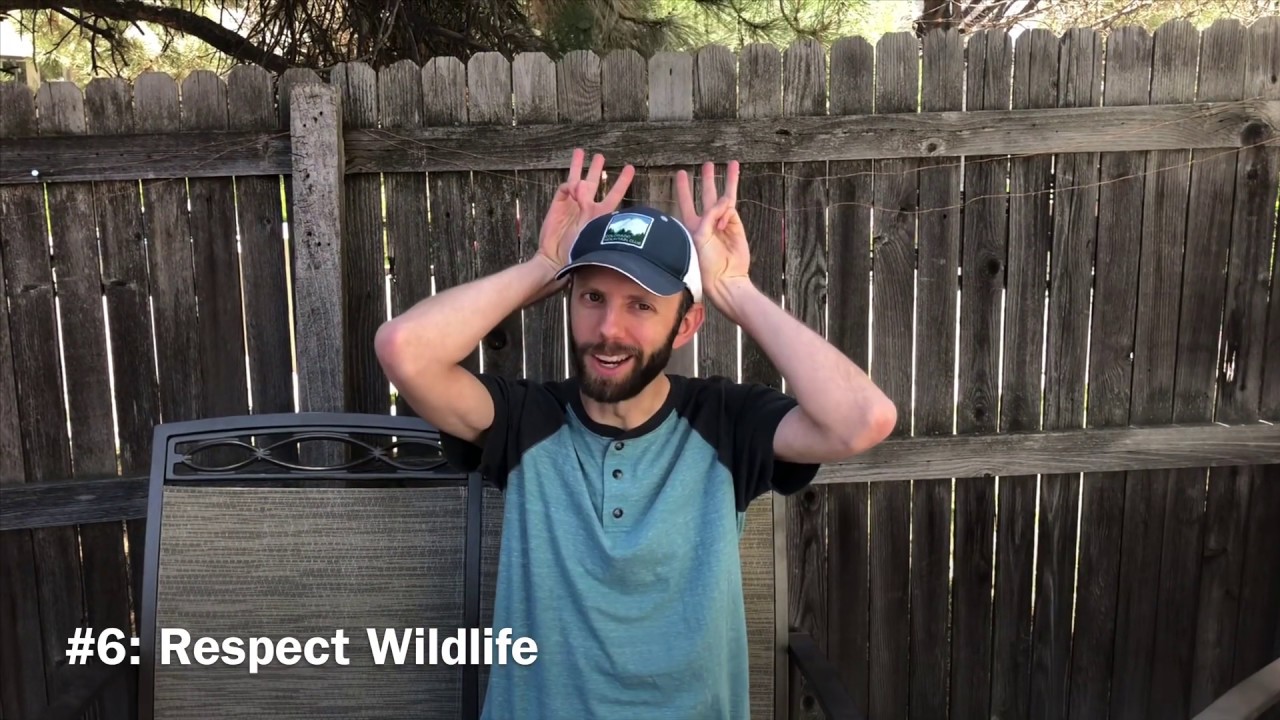 Leave No Trace Principles & Hand Signals - YouTube