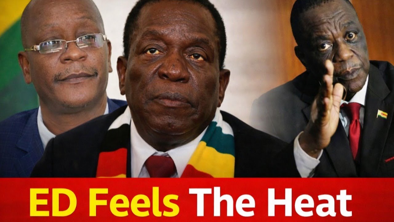 Constitution Amendment Plan Backfires As ED Feels The Heat