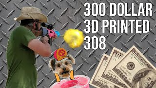 Testing my $300 3D Printed 308 Battle Rifle