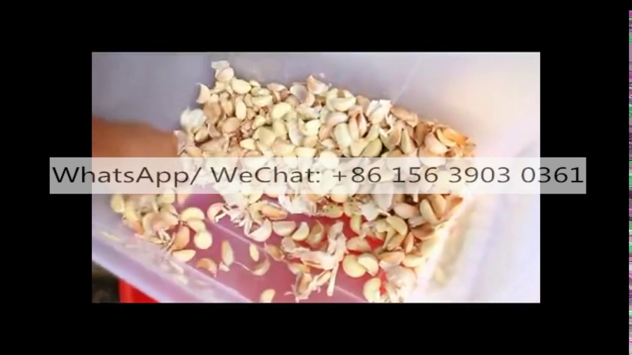 How to separate garlic cloves Garlic breaking splitter Garlic bulb