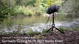 Zoom F3   Audio Technica BP4025 stereo mic field recording