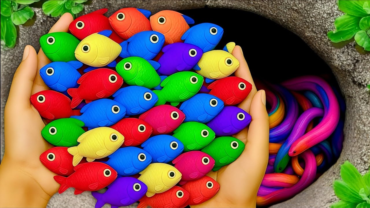 Great Catch Colorful Ornamental Fish In Small Pound, Crab, Albino Guppy, Eel, Baby Turtle, Aquarium