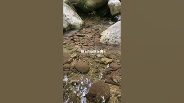 قرآن كريم #افغانستان #اكسبلور #المغرب #nature #السعودية #لايك #العراق #ترند #مصر #تصويري#باكستان#هند