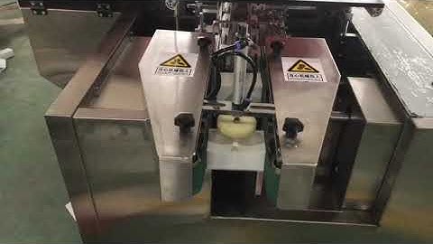 Sachet Cartoning Machine with Manual Loading and Leaflet Feeder