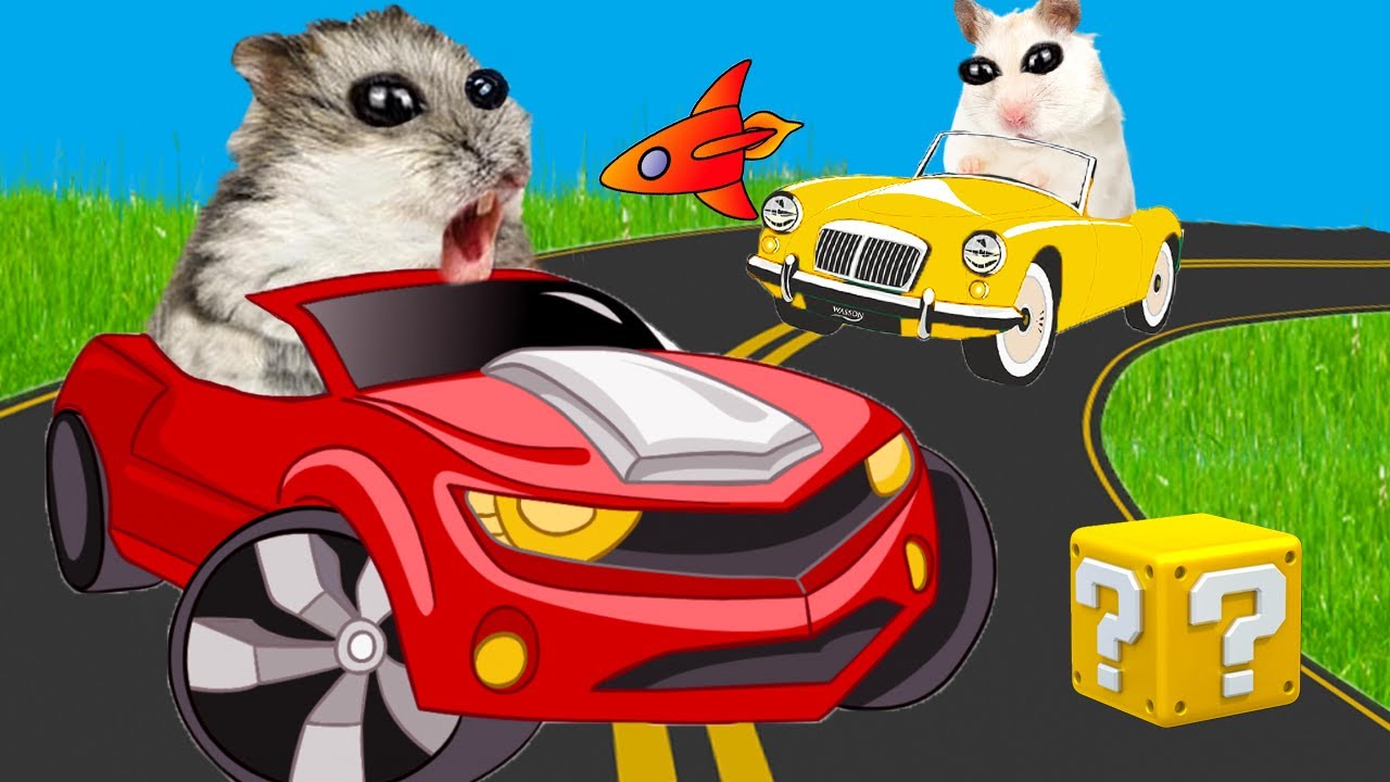 Four Hamster Race 🐹 Hamster in real life - YouTube