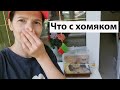 VLOG: Почему он так воняет?