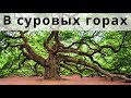 В Суровых Горах I Красивая Христианская Песня