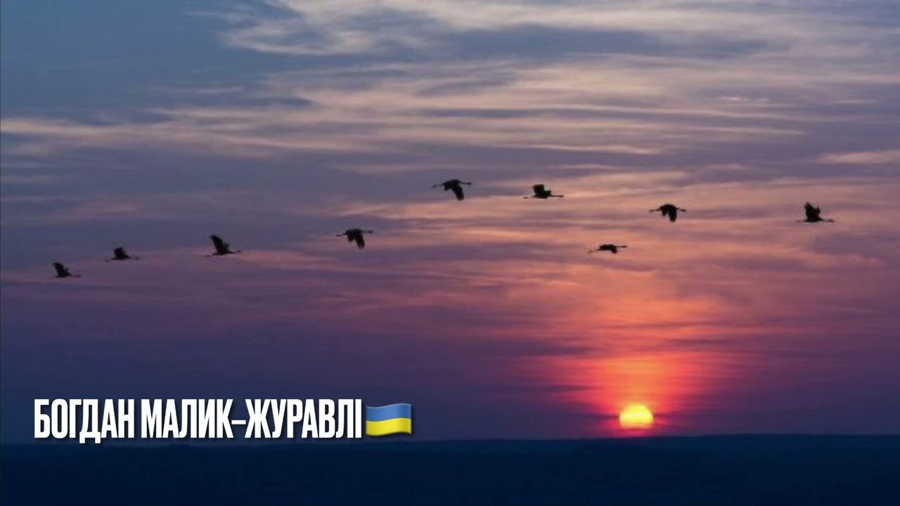 Богдан Малик — Журавлі 🇺🇦