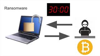 Software Update Study Video screenshot 5