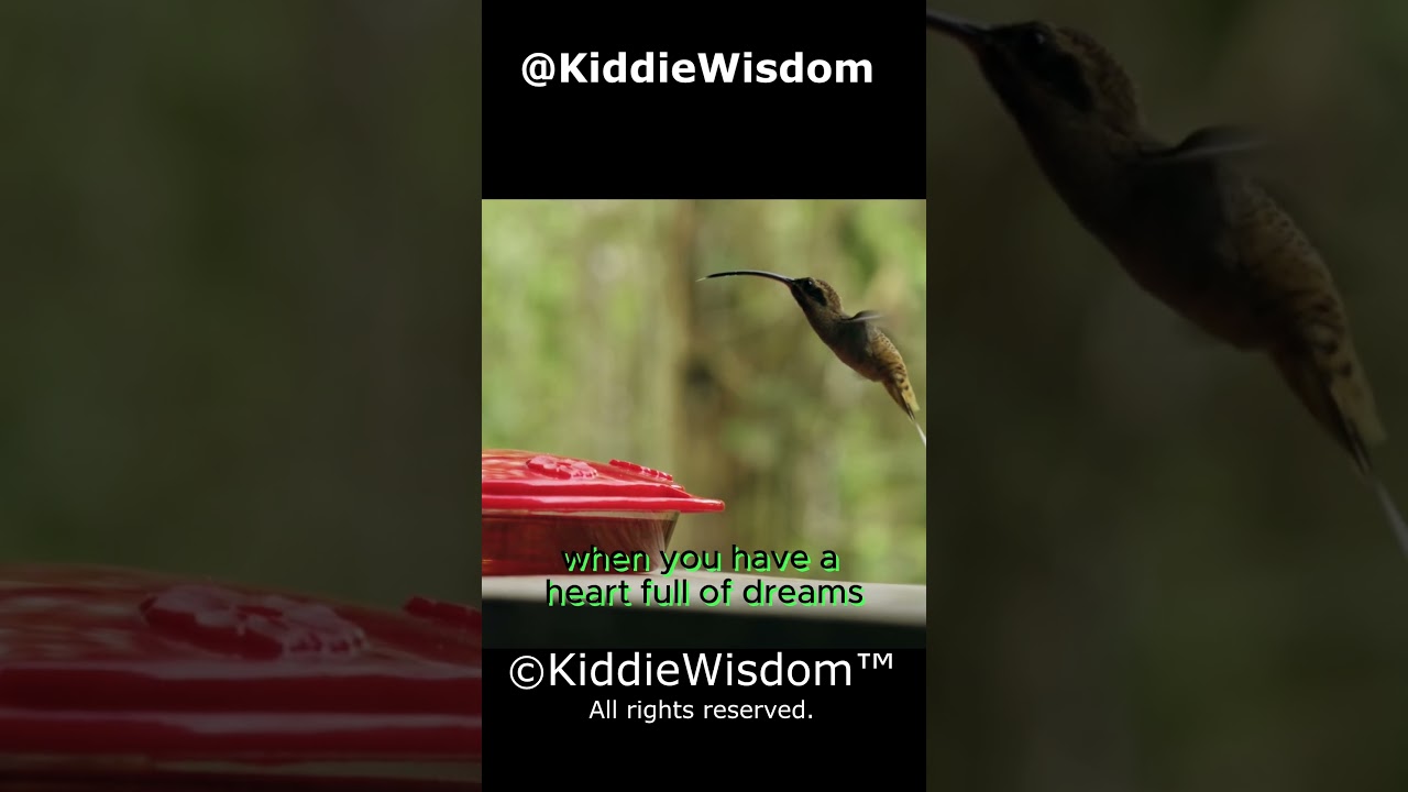 learn from the humming bird and dream big! | KiddieWisdom™ 