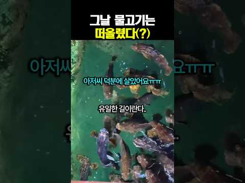 난 분명 기회를 줬어..ㅋㅋ