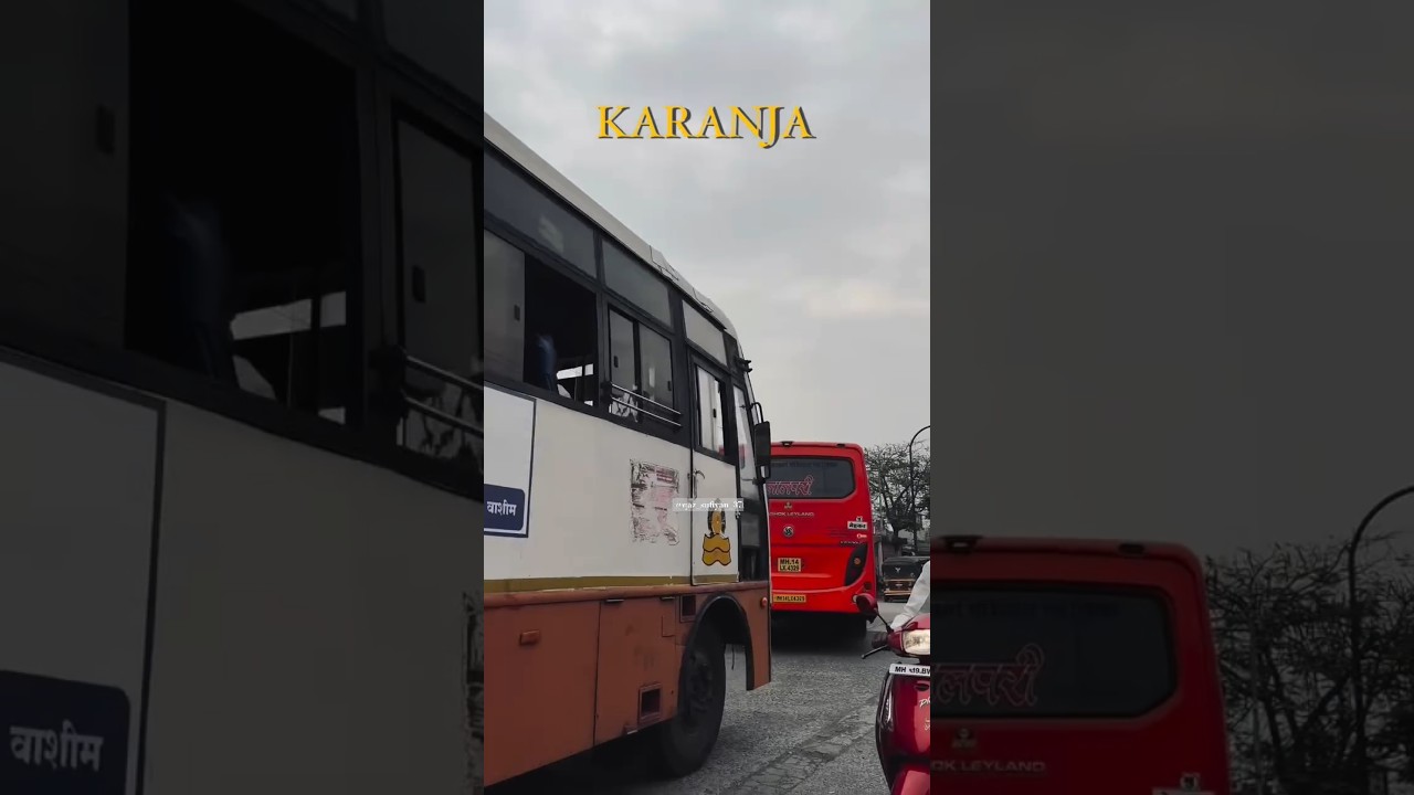 Karanja Lad status new video 