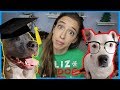 Testing My Dogs' IQs!