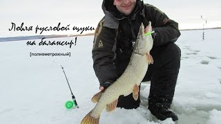 Ловля щуки на балансир. Зимняя рыбалка на Волге. Видео отчет от 16.01.2015 г.(, 2015-01-17T15:52:34.000Z)