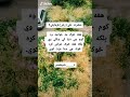 اسلامی ویډیو 