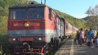 サハリン、日本の鉄路に幕   宮沢賢治「銀河鉄道」にも