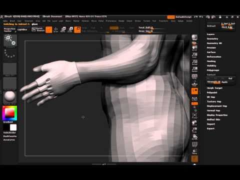 zbrush contact support