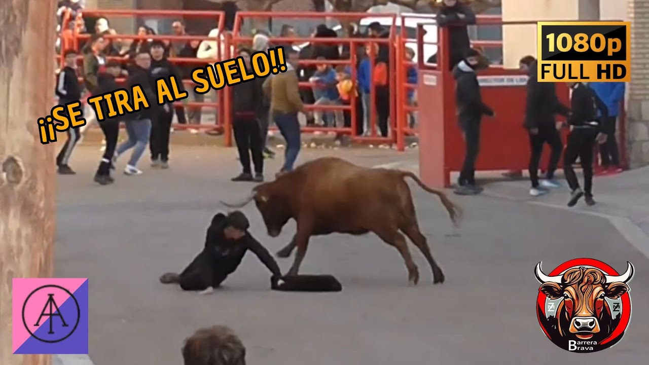 Villafranca de Ebro. Tarde de Vacas | 07/12/2024 | Ganad. Alberto Álvarez