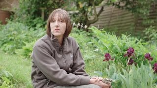 How to make a mini garden in your paving | The RHS