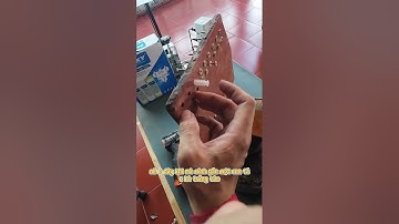 Tắc kê xám nội địa trung #teoemthonha #kocnet 