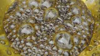 honey oil