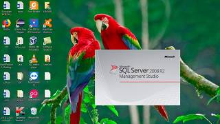 SQL server Creating Data Base , Tables, Relationship and Query