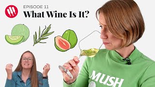 Learn by Tasting (ep. 11)