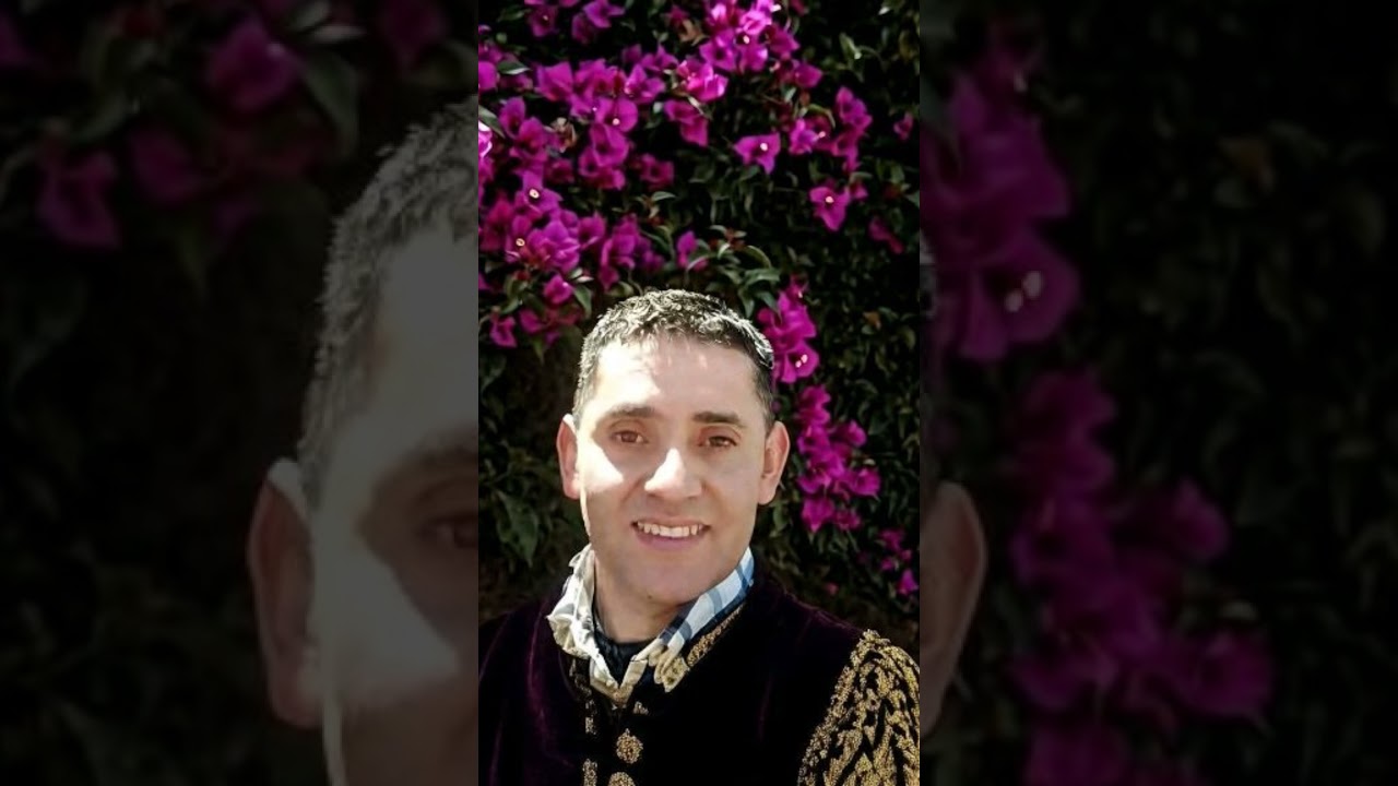 Lobo dom&eacute;sticado baladas rom&aacute;nticas para recordar