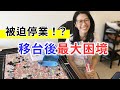 【移民台灣生活】突然被迫停業！？移民台灣後的最大困境！｜貓奴與寵物移民紀錄 #領養不棄養