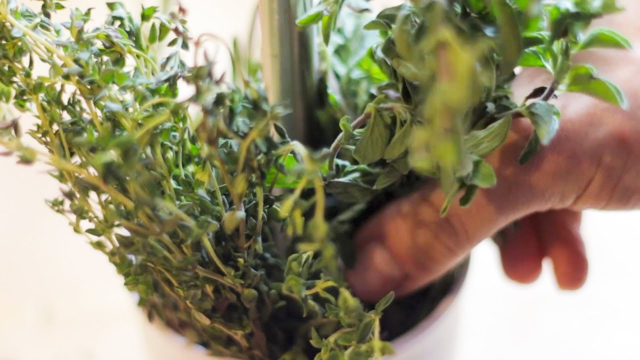 Herb Keeper Quick Tips YouTube