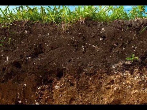 SOIL MANAGEMENT IN ZAMBIA - YouTube