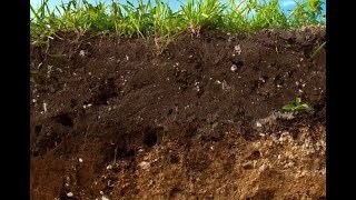 SOIL MANAGEMENT IN ZAMBIA