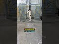 অল্প জায়গা এখন আর কোন সমস্যাই না #rsbd #gate #viralvideo #reel #door #gatedesign #shorts